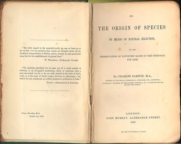 Origin of Species Darwin